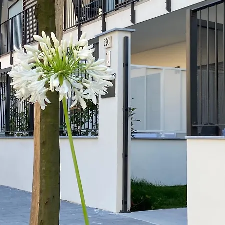 Rivierarent L'angolo Di Anna Apartamento *
