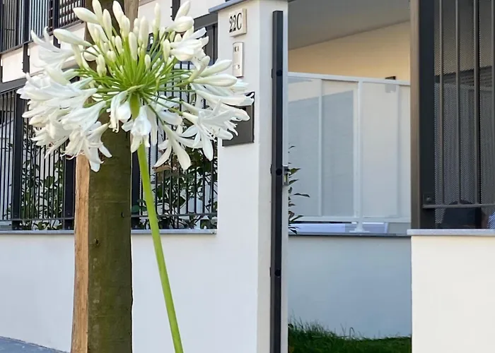 Rivierarent L'angolo Di Anna Appartamento *